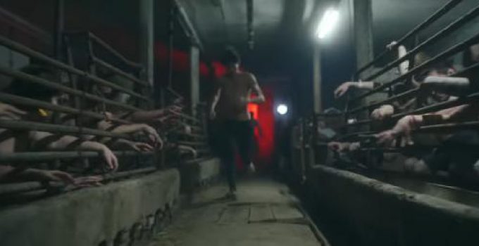 All the blood (positive song actually)