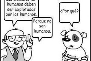 ARGUMENTO: “Es éticamente correcto explotar y matar a los animales porque no son humanos”