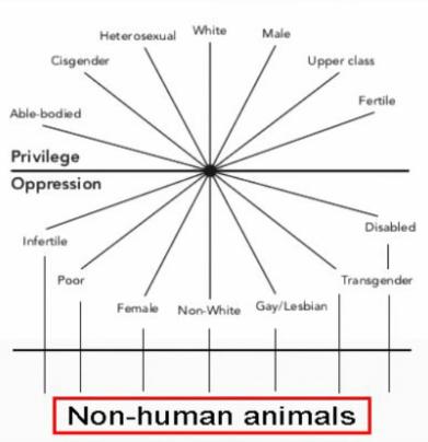 Veganismo interseccional